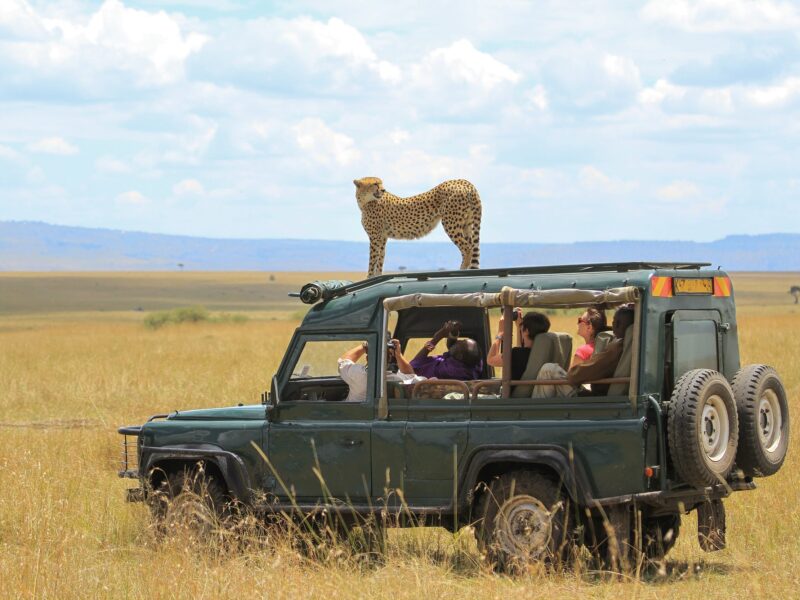 12 Days Tanzania Wildlife Safari tour