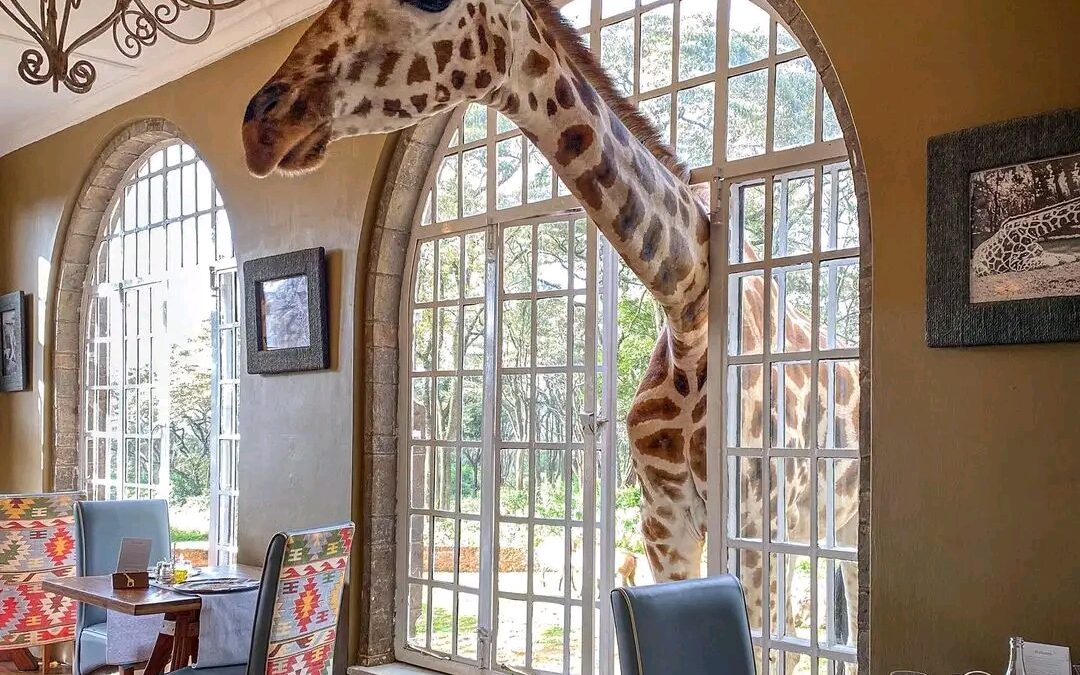 Giraffe Manor Nairobi