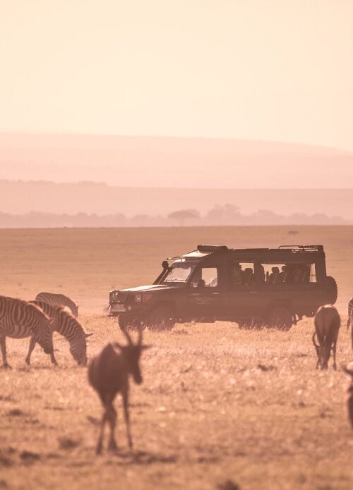 When should i go safari in Kenya?