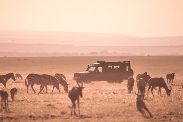 When should i go safari in Kenya?