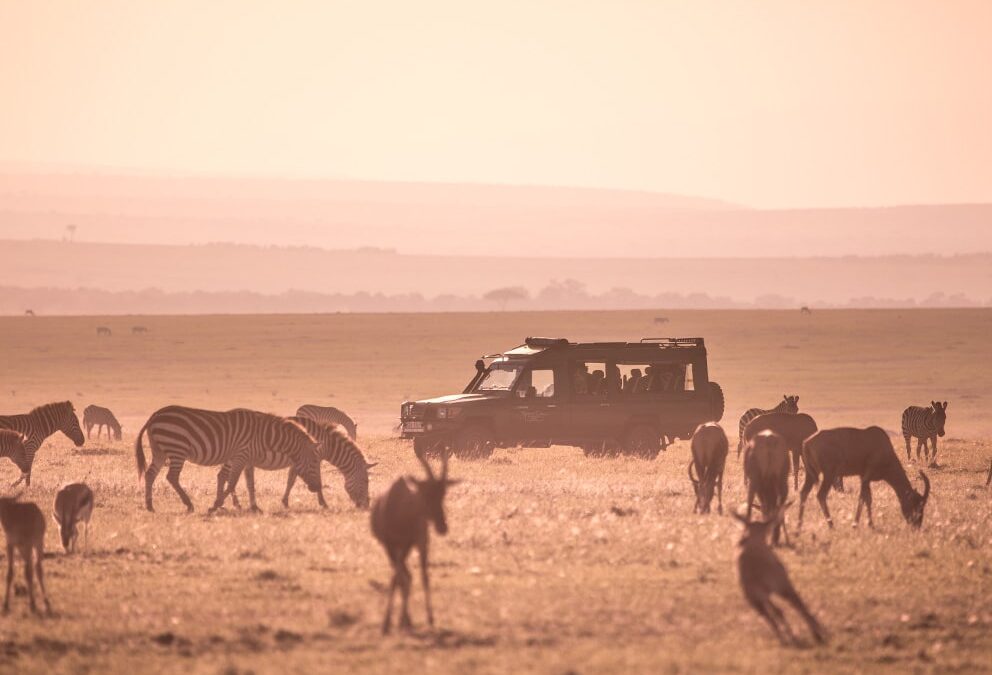 When should i go safari in Kenya?