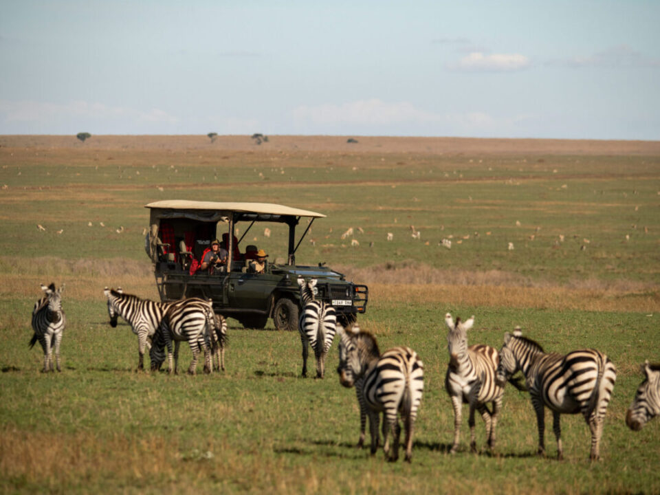 6 Days Family Safari in Kenya