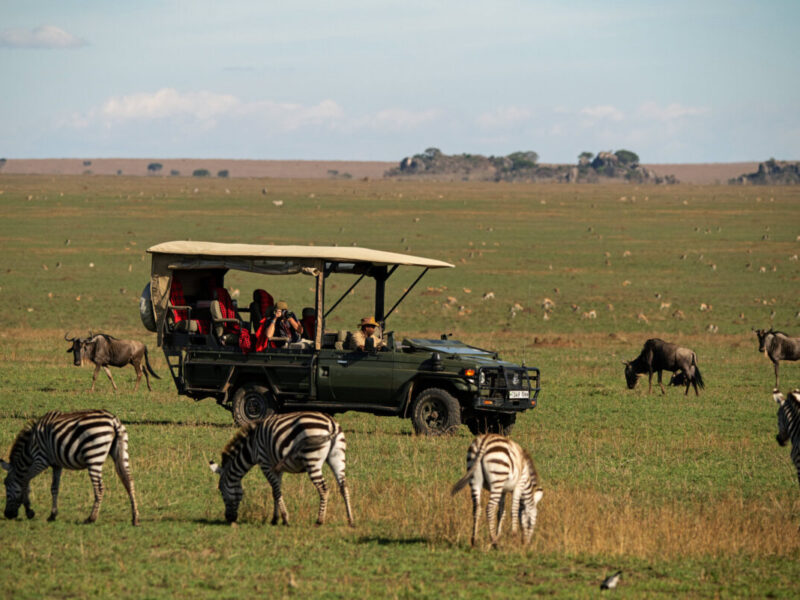 Best of Kenya 6 Days Wildlife Safari