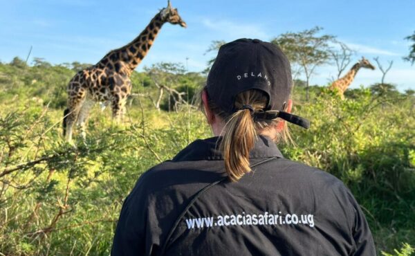 Uganda Safari Experience