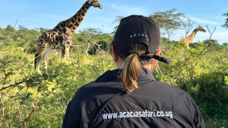 Uganda Safari Experience