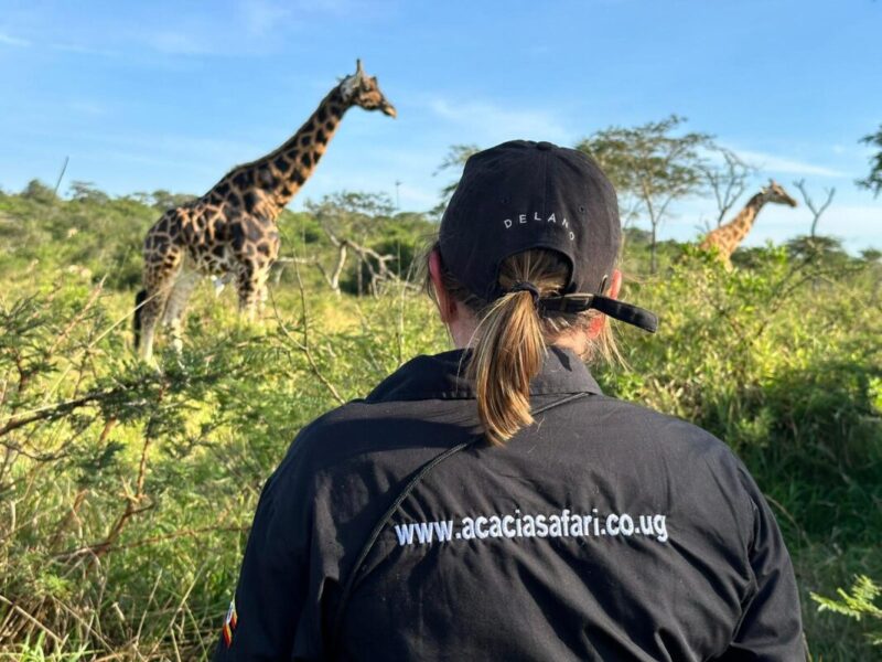 Uganda Safari Experience