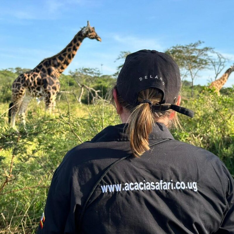 Uganda Safari Experience