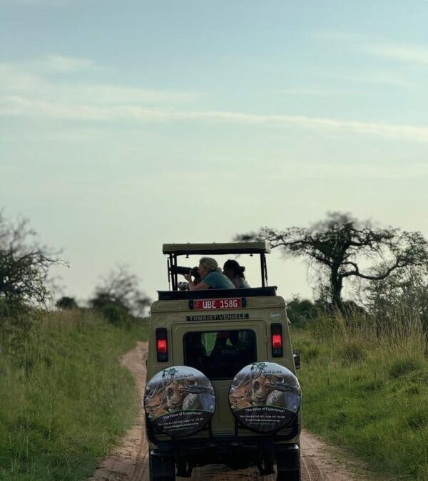 Game Drives in Akagera