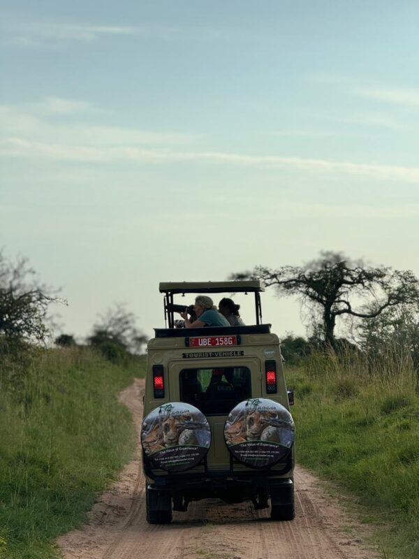 Uganda Group Safaris