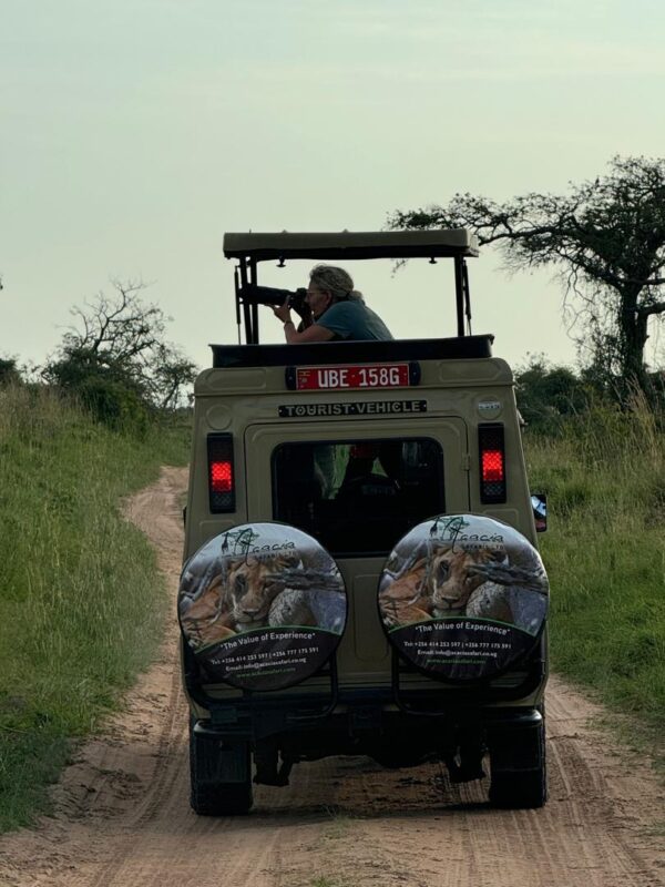 Discounted Uganda Group Safaris