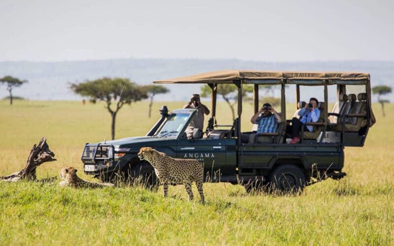 Kenya Rwanda Uganda Tanzania Safaris