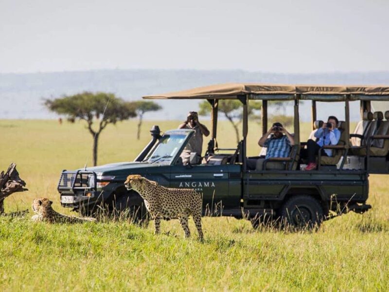 Kenya Rwanda Uganda Tanzania Safaris