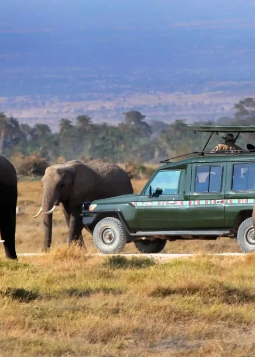 Kenya Rwanda Uganda Tanzania Safaris