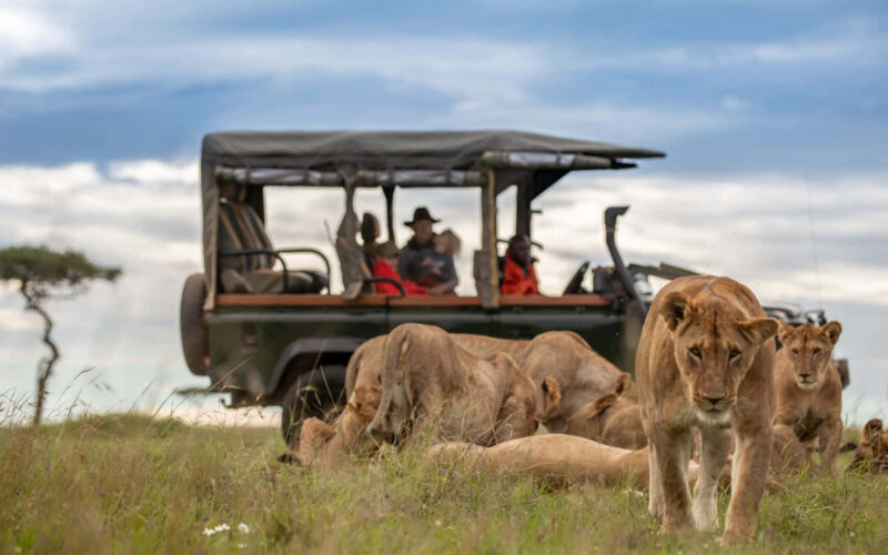 Kenya Rwanda Uganda Tanzania Safaris