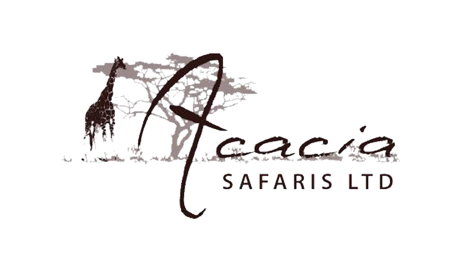 Acacia Safaris