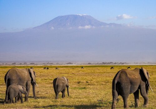 Amboseli National Park Amboseli National Park